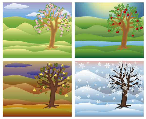 Установка дерева сезонов, векторная иллюстрация
