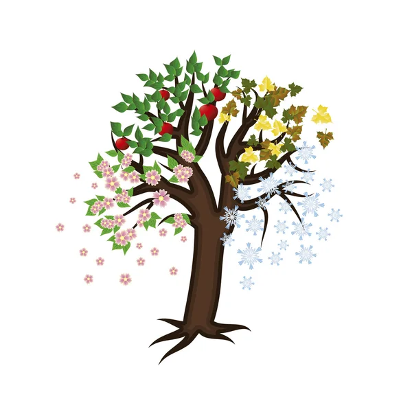 Dört mevsim ağaç, vektör çizim — Stok Vektör