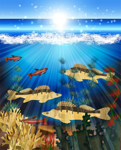 Cartão Mundo Subaquático Com Peixes Algas Ilustração Vetorial —  Vetores de Stock