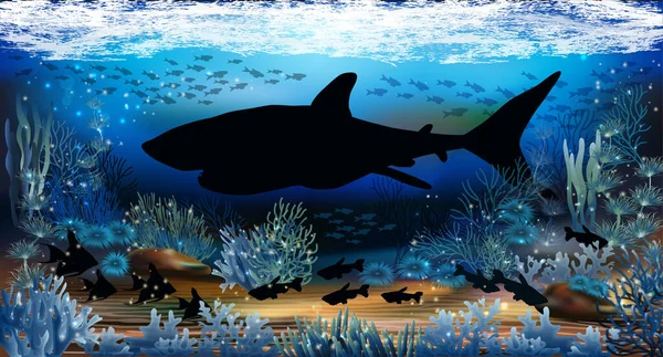 Fondo Pantalla Submarino Con Tiburón Ilustración Vectorial — Archivo Imágenes Vectoriales