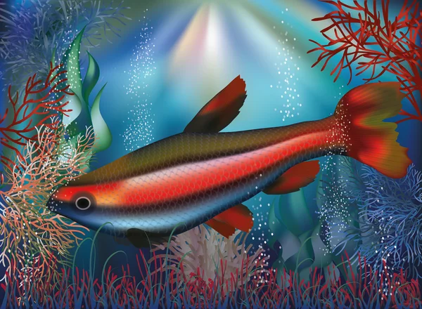 Underwater wallpaper tropical fish, vector illustration - Stok Vektor