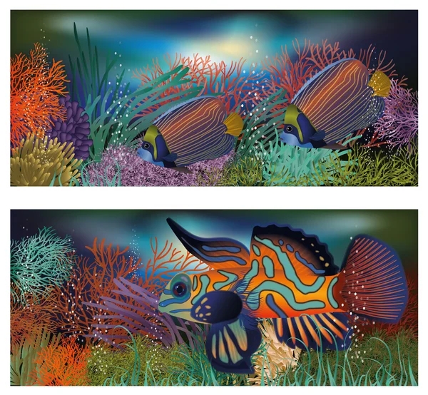 Bannières sous-marines avec poissons tropiques, illustration vectorielle — Image vectorielle