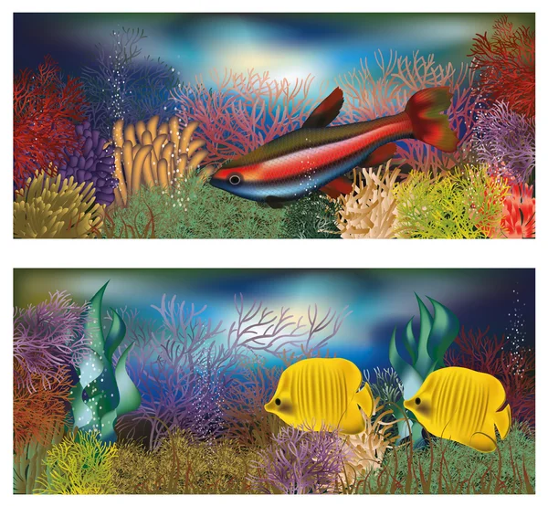 Underwater banners med tropiska fiskar, vektor illustration — Stock vektor