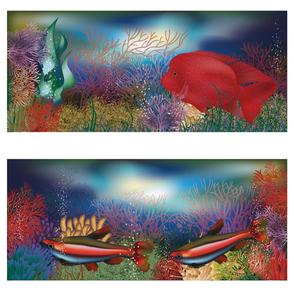 Underwater banners med röda tropiska fiskar, vektor illustration — Stock vektor