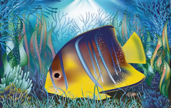 Papier peint sous-marin avec des poissons tropicaux, illustration vectorielle — Image vectorielle