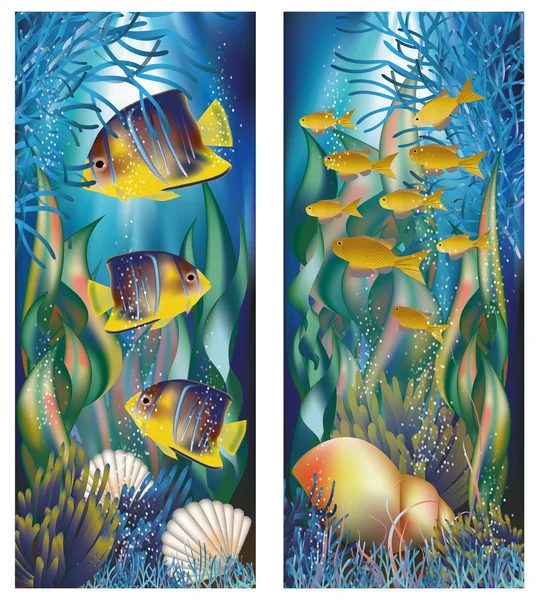 Unterwasser-Banner mit Muscheln und tropischen Fischen, Vektorillustration — Stockvektor