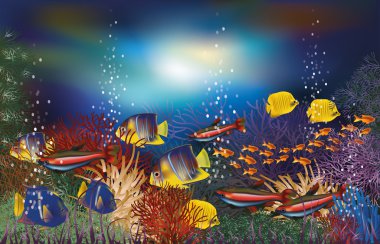 Tropikal balık, vektör çizim ile sualtı arka plan