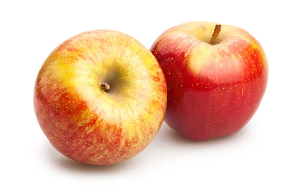 Yellow red apples — Stock Photo, Image