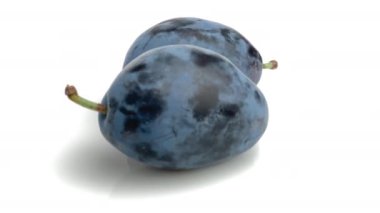 Beyaz arkaplanda erik izole edildi