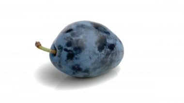 Beyaz arkaplanda erik izole edildi