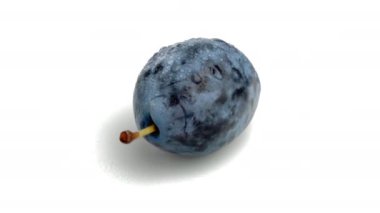 Beyaz arkaplanda erik izole edildi