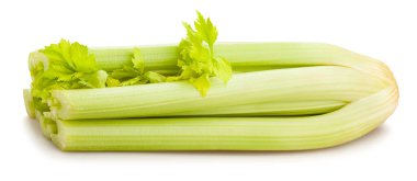 Kereviz sapı yolu beyazda izole edildi