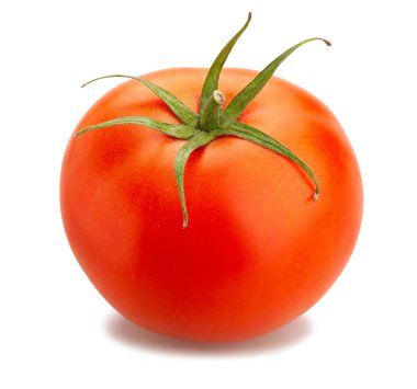 Domates yolu beyazda izole edildi