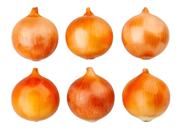 Onions Path Isolated White — Stock Photo, Image
