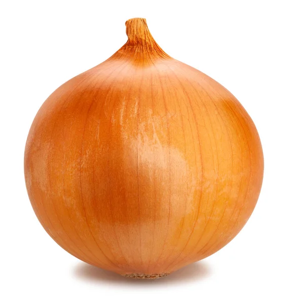 Onions Path Isolated White — Stock Photo, Image