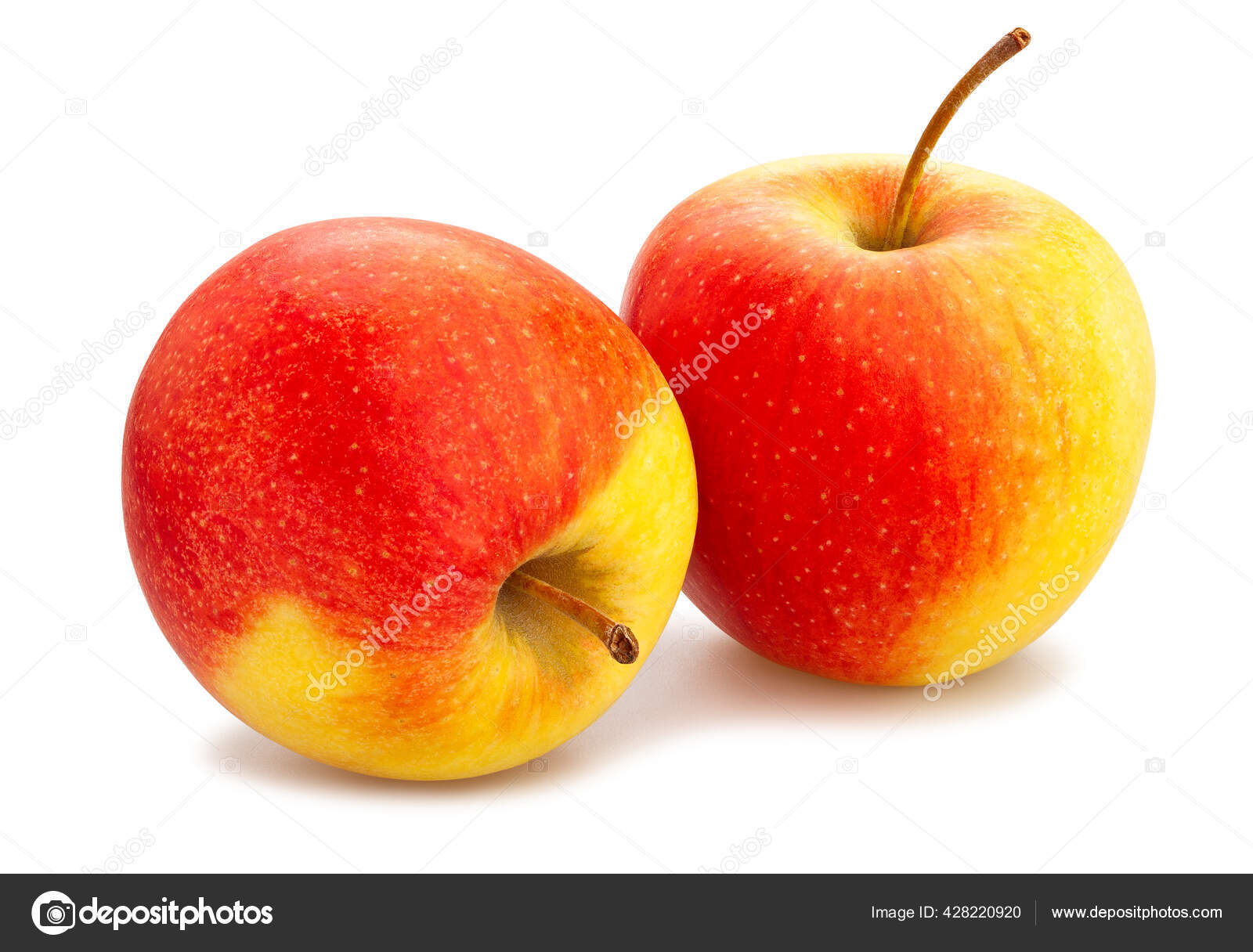 白で隔離された赤い黄色のリンゴの道 ストック写真 C Bergamont 429