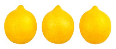 limon yolu beyazda izole