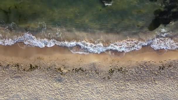 Vagues Bord Mer Surf Dessus Vue — Video