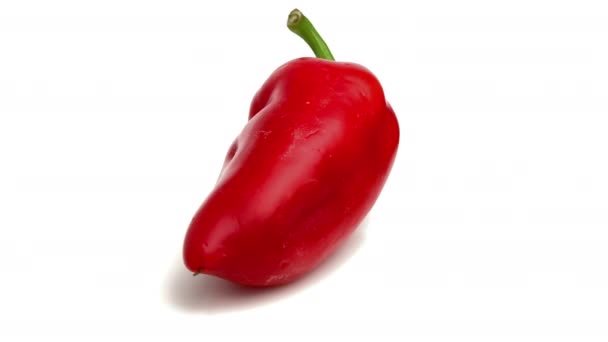 在白色上分离的长红辣椒 — 图库视频影像