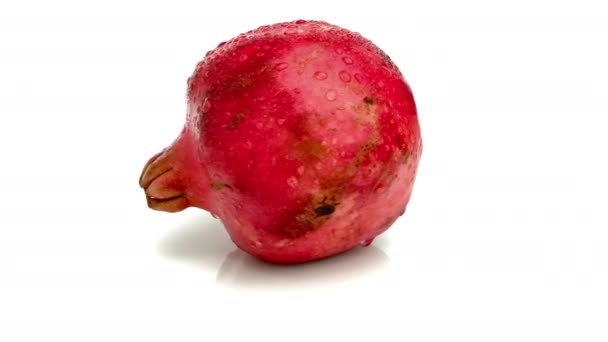 Wet Pomegranate Isolated White Background — Stock Video