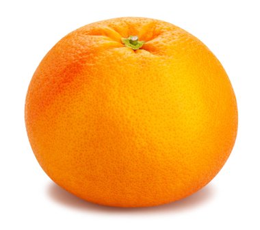 greyfurt yolu beyazda izole edildi