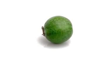 feijoa beyaz arkaplanda izole edildi