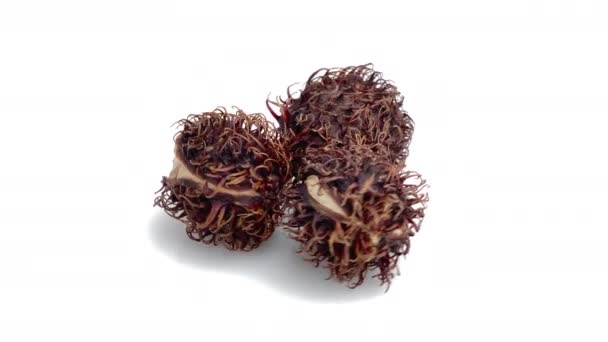 Rambutan Beyaz Arkaplanda Izole Edildi — Stok video