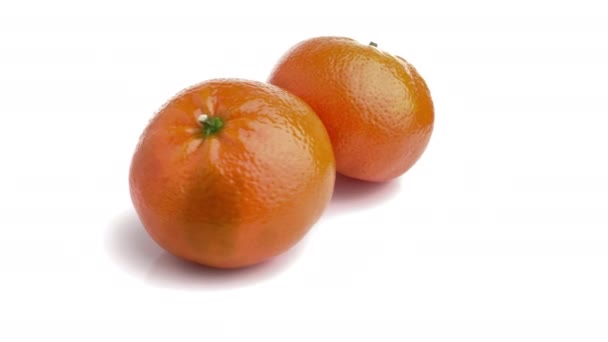 Mandarine Isoliert Auf Weißem Hintergrund — Stockvideo