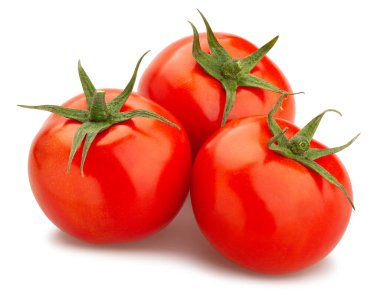 Domates yolu beyazda izole edildi