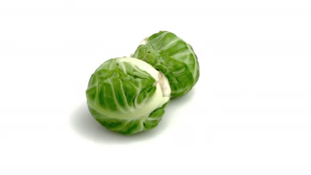 Brussels Sprouts Isolated White Background — Stock Video