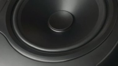 Profesyonel ses monitörü hoparlörü. Tweeter 'ı kapat.