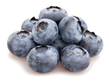 yaban mersini yolu beyazda izole edildi