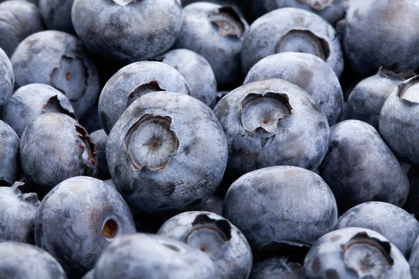 Blaubeere Makro Nahaufnahme Fokus Detail — Stockfoto