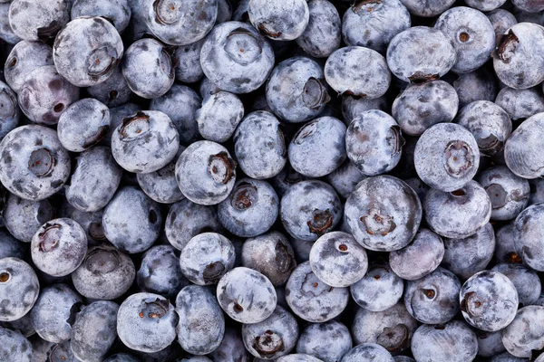 Blueberry Fundo Textura Azulejo Padrão — Fotografia de Stock
