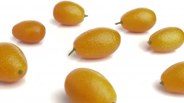 Kumquat Isoliert Auf Weißem Hintergrund — Stockvideo