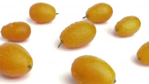 Kumquat Geïsoleerd Witte Achtergrond — Stockvideo