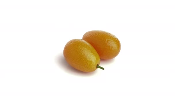 Kumquat Aislado Sobre Fondo Blanco — Vídeo de stock