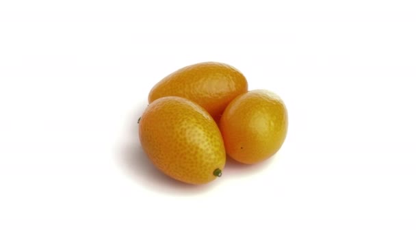 Kumquat Aislado Sobre Fondo Blanco — Vídeos de Stock