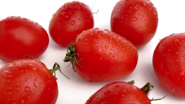 Plommon Tomat Isolerad Vit Bakgrund — Stockvideo