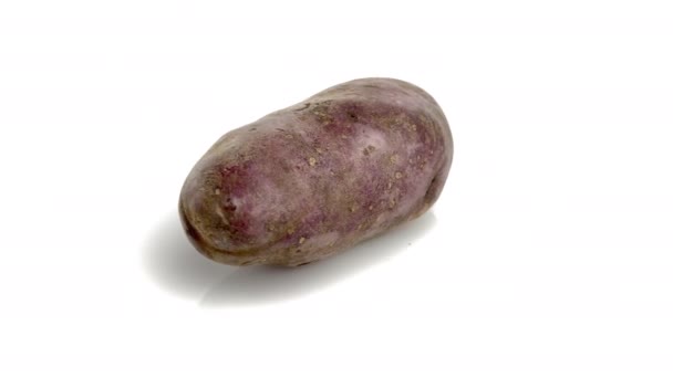 Röd Potatis Isolerad Vit Bakgrund — Stockvideo
