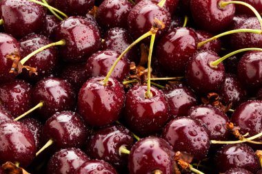 Kırmızı vişneli makro detay yakın plan