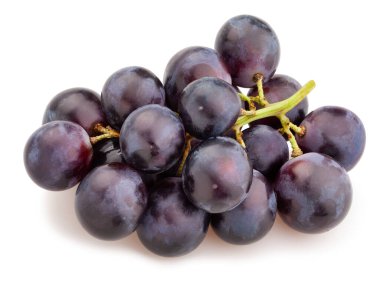 Mavi üzüm yolu beyazda izole edilmiş.