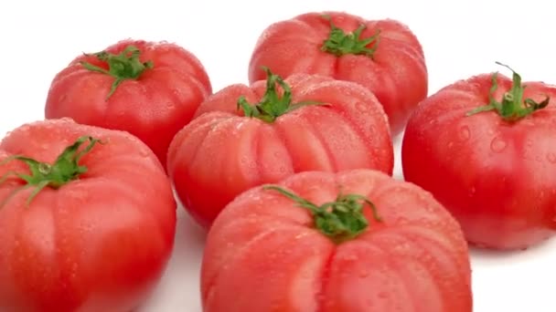 Tomate Rosa Aislado Sobre Fondo Blanco — Vídeos de Stock