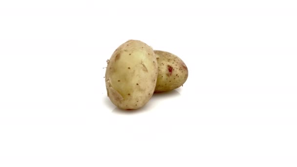Ung Potatis Isolerad Vit Bakgrund — Stockvideo