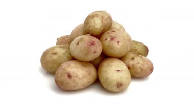 Genç patates beyaz arka planda izole edilmiş