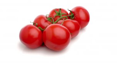 Beyaz arkaplanda domates dalı izole edildi