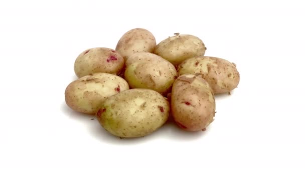 Junge Kartoffel Isoliert Auf Weißem Hintergrund — Stockvideo