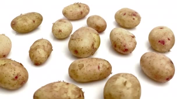 Ung Potatis Isolerad Vit Bakgrund — Stockvideo