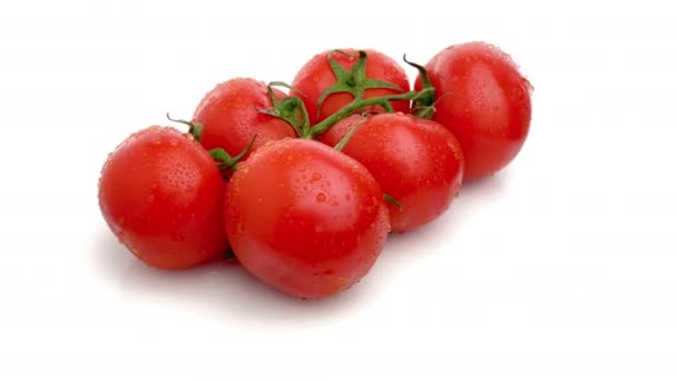 在白色背景上分离的番茄枝条 — 图库视频影像
