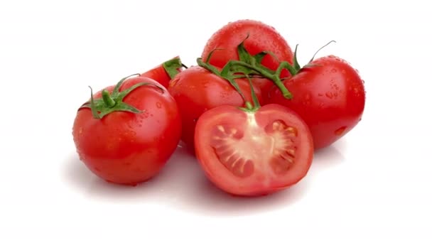 在白色背景上分离的切碎番茄枝条 — 图库视频影像